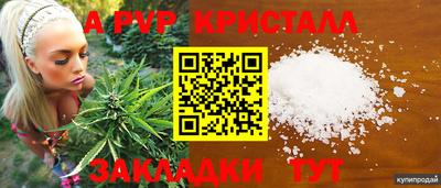гидра Балашиха
