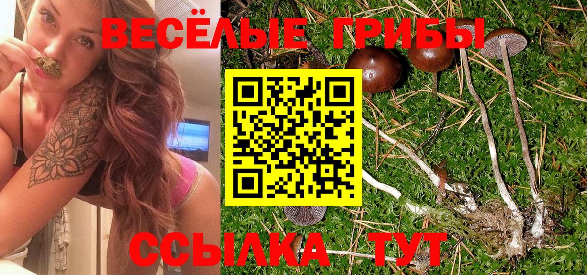 Псилоцибиновые грибы GOLDEN TEACHER Аргун