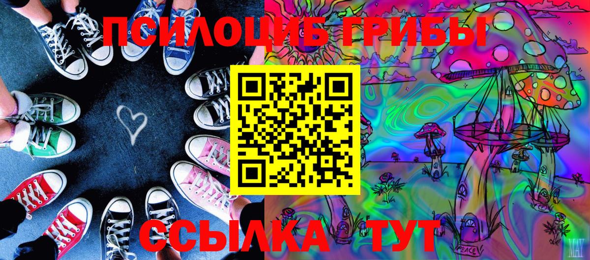 Псилоцибиновые грибы мухоморы  Псилоцибиновые грибы MAGIC MUSHROOMS  закладка  Аргун  Вход с VPN 